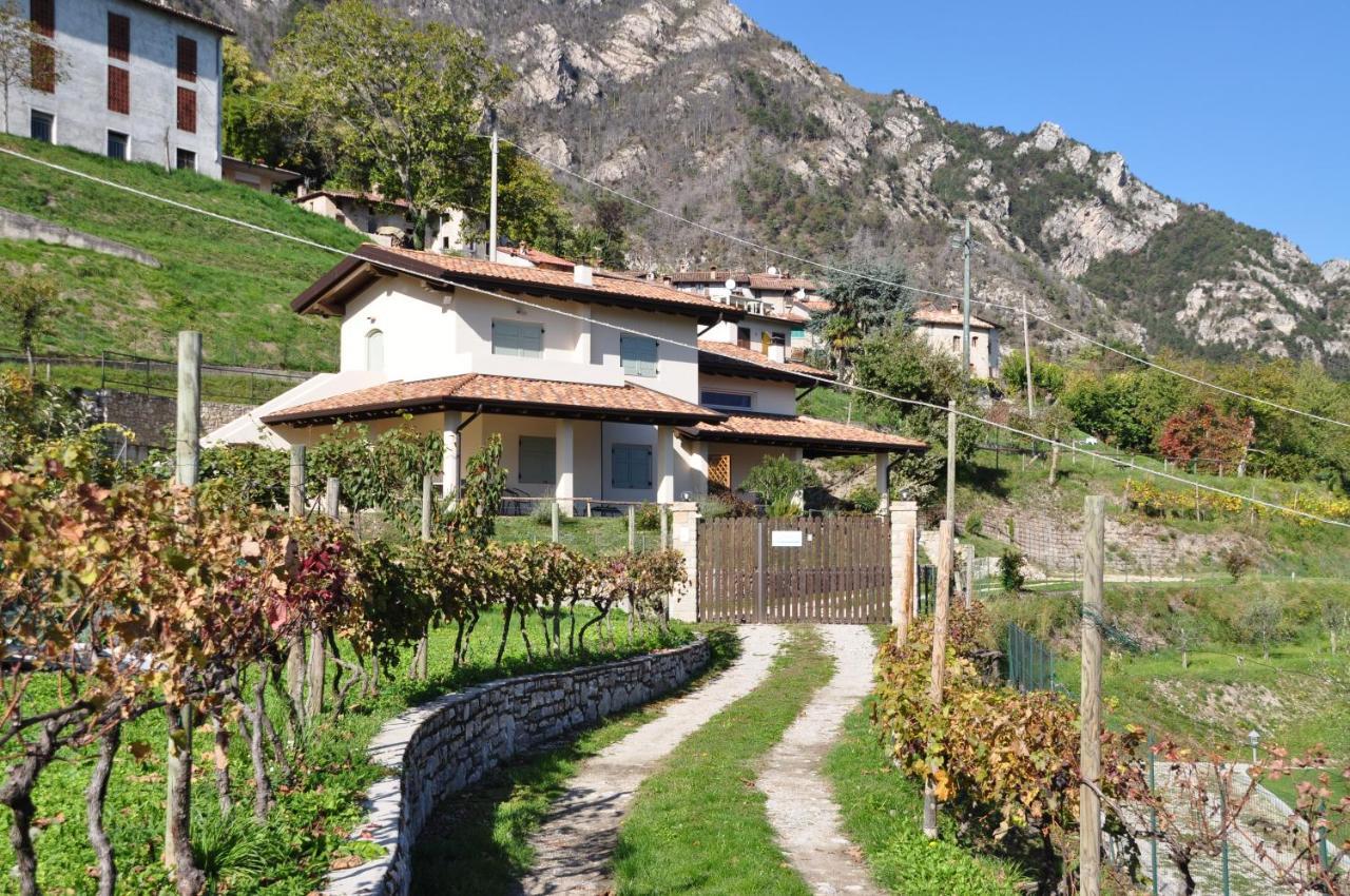 Villetta 56 Blu Yellow And Red Lake View Garden Private Parking By Garda Domus Mea Tremosine Экстерьер фото
