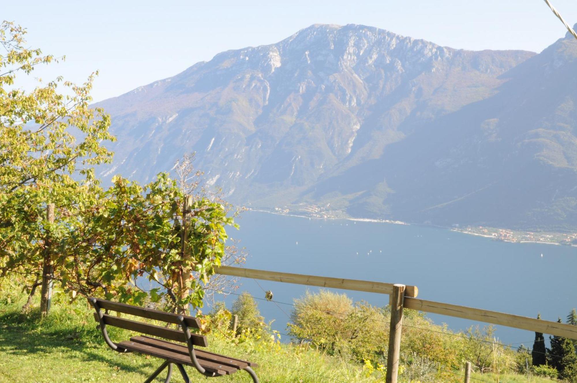 Villetta 56 Blu Yellow And Red Lake View Garden Private Parking By Garda Domus Mea Tremosine Экстерьер фото